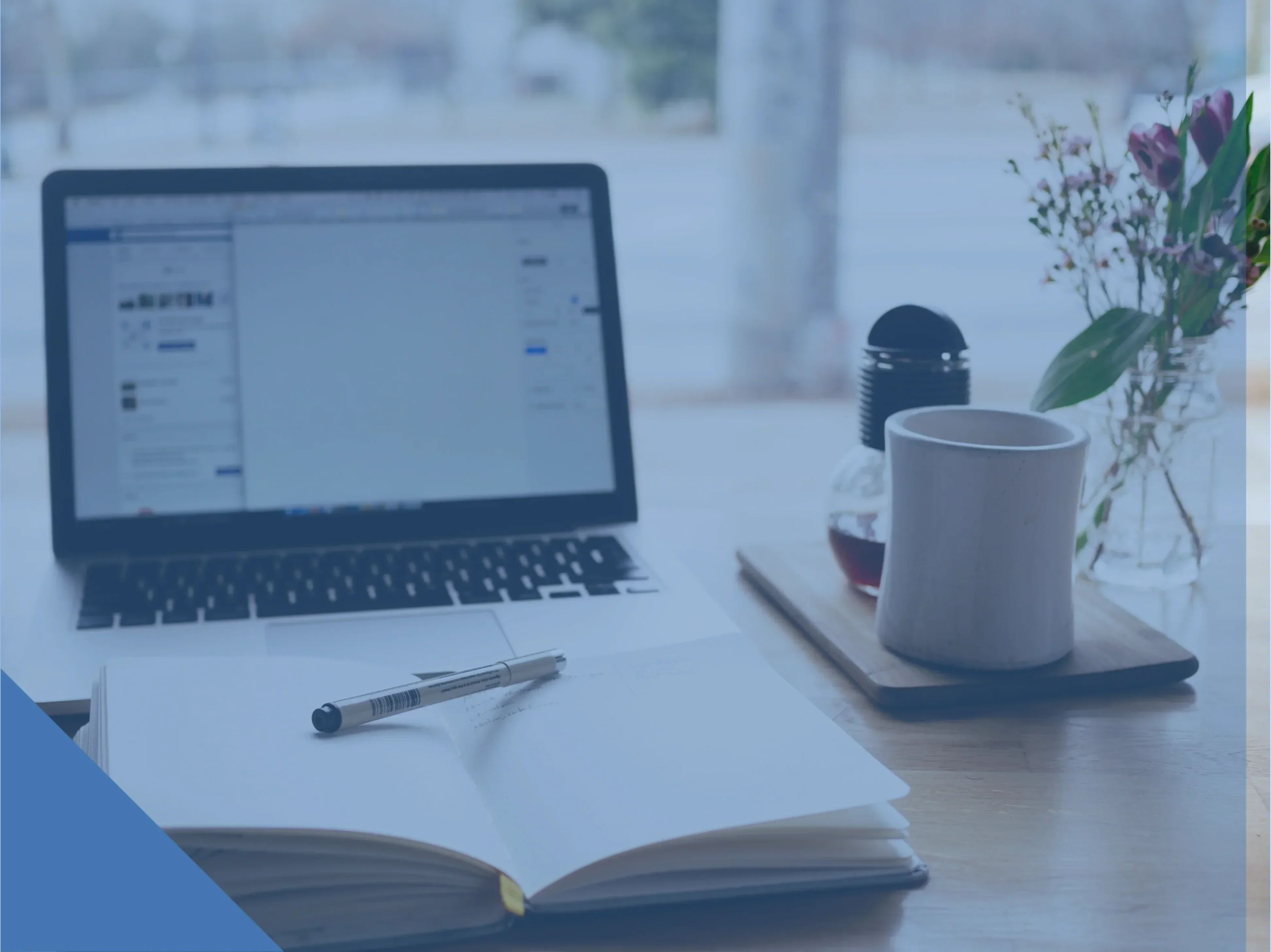 The Top 5 Myths about the OET
